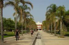 Thumbnail allée et jardins de l’Université d’Alicante